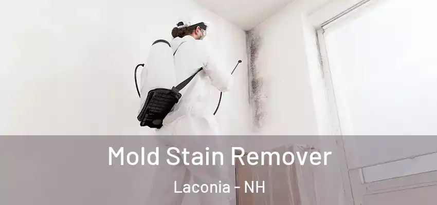  Mold Stain Remover Laconia - NH