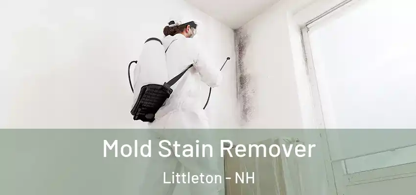  Mold Stain Remover Littleton - NH