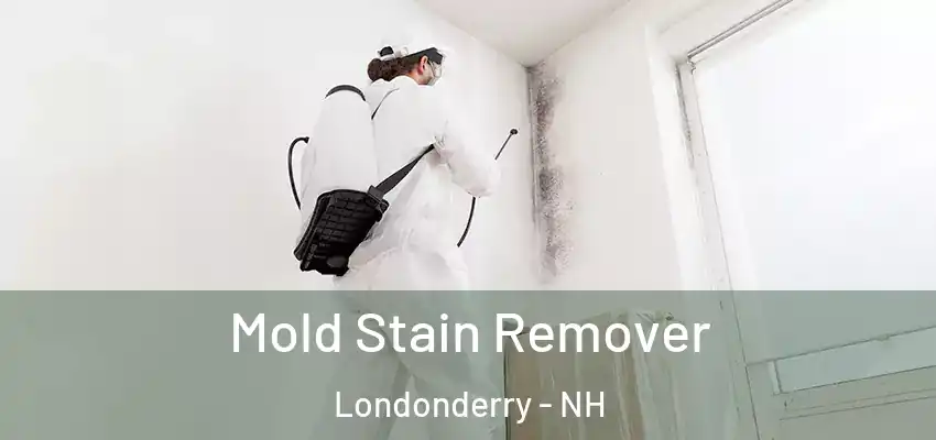  Mold Stain Remover Londonderry - NH