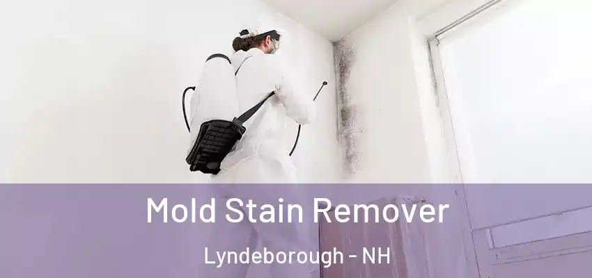  Mold Stain Remover Lyndeborough - NH