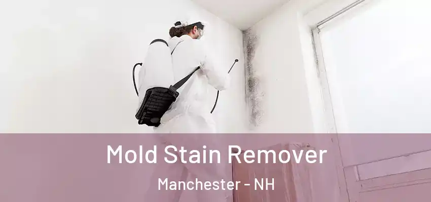  Mold Stain Remover Manchester - NH