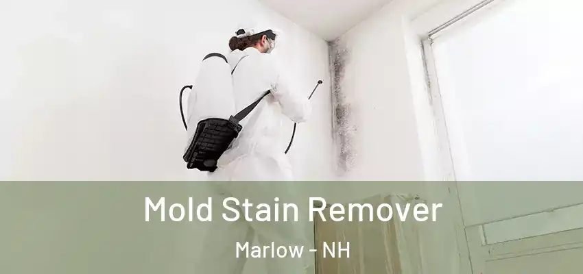  Mold Stain Remover Marlow - NH