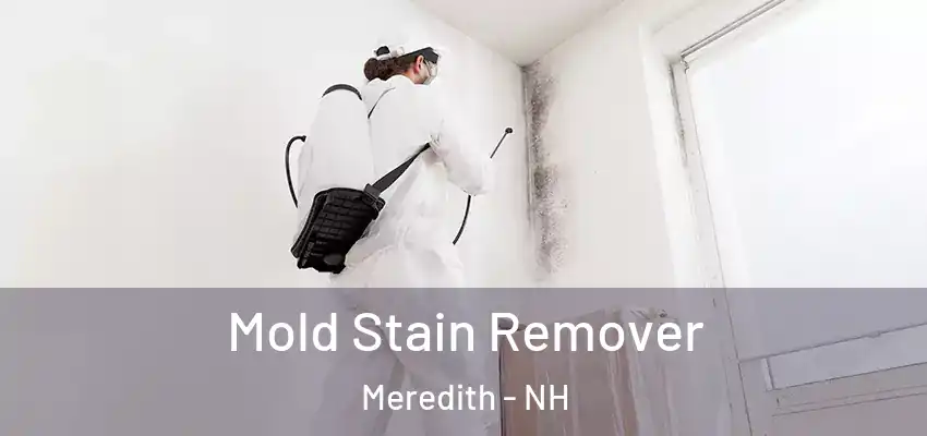  Mold Stain Remover Meredith - NH