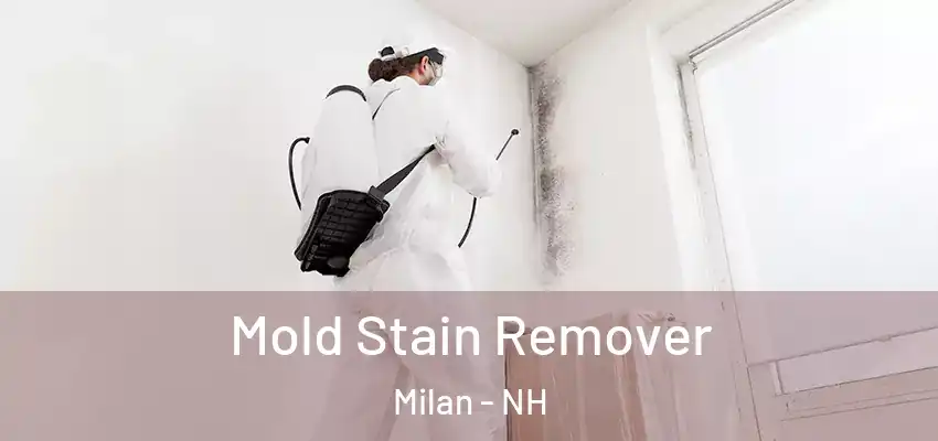  Mold Stain Remover Milan - NH