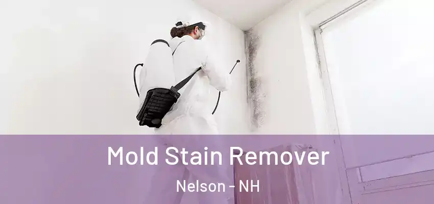 Mold Stain Remover Nelson - NH