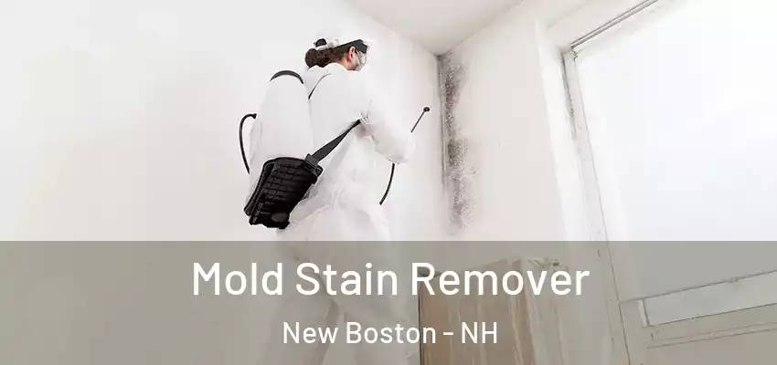  Mold Stain Remover New Boston - NH