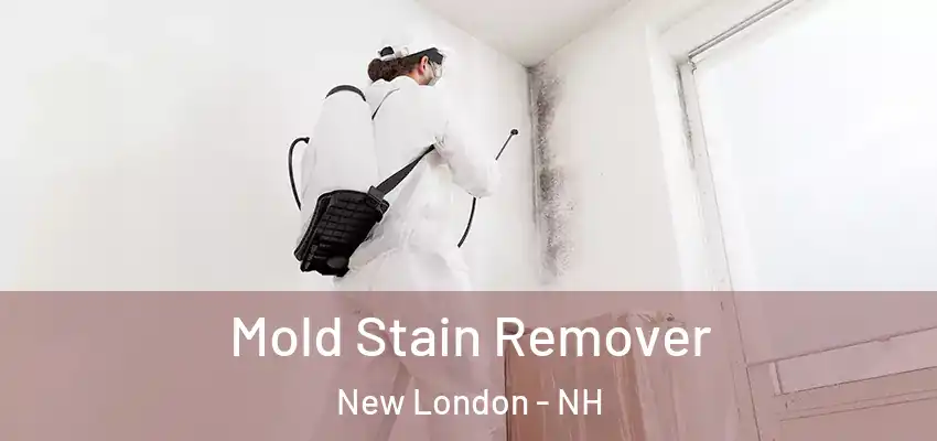 Mold Stain Remover New London - NH