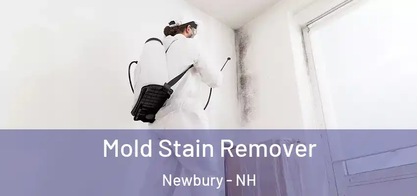  Mold Stain Remover Newbury - NH