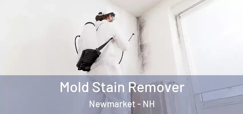 Mold Stain Remover Newmarket - NH