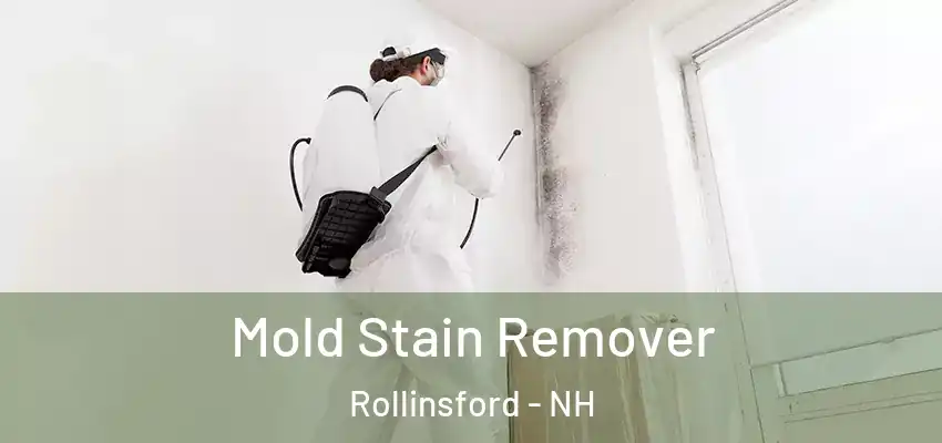  Mold Stain Remover Rollinsford - NH