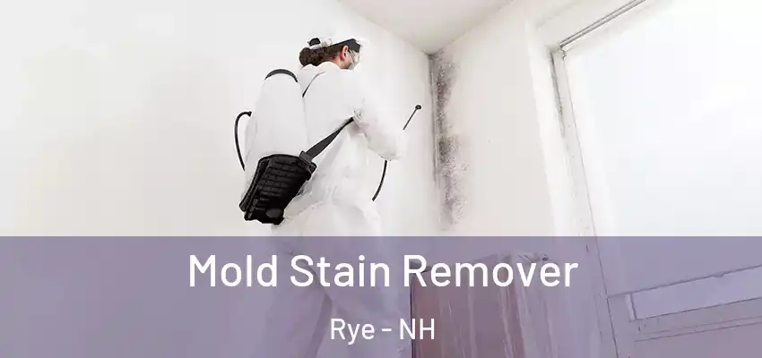  Mold Stain Remover Rye - NH