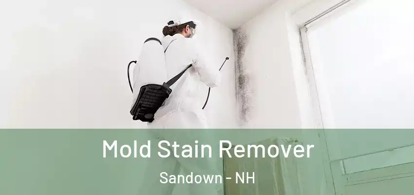  Mold Stain Remover Sandown - NH