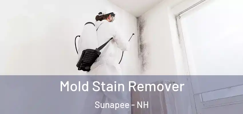  Mold Stain Remover Sunapee - NH