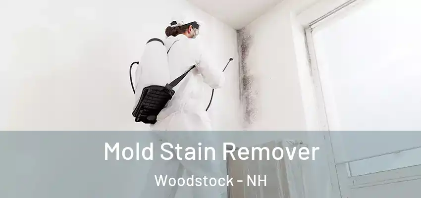  Mold Stain Remover Woodstock - NH