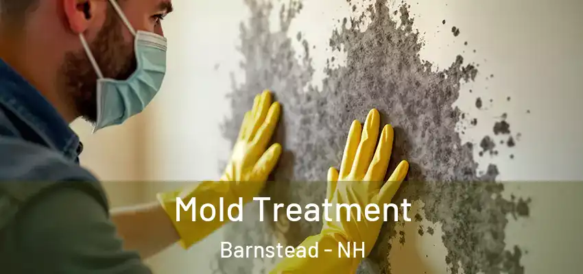  Mold Treatment Barnstead - NH