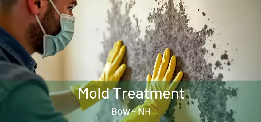  Mold Treatment Bow - NH