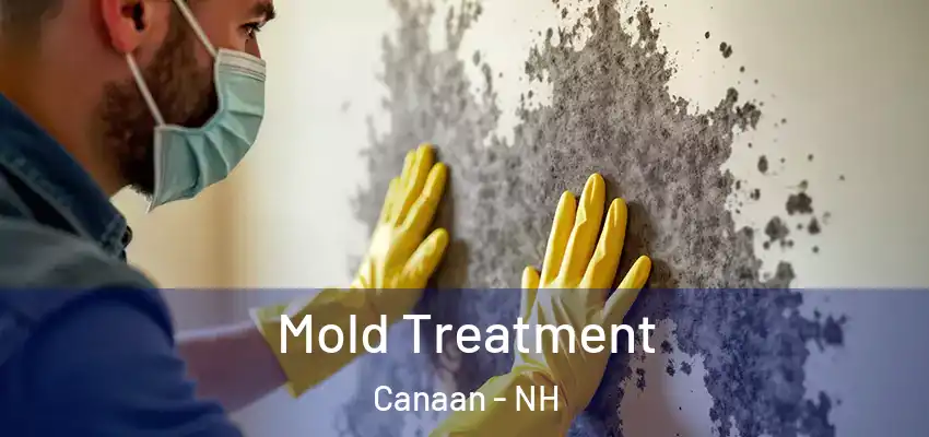  Mold Treatment Canaan - NH