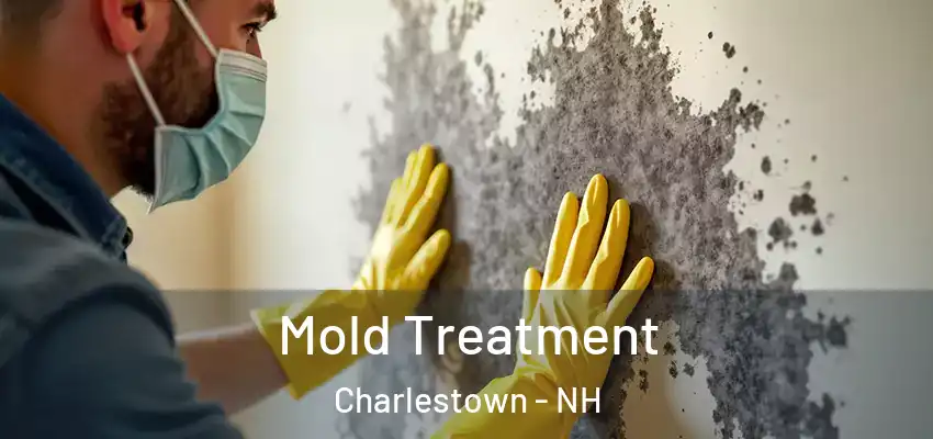  Mold Treatment Charlestown - NH