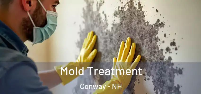  Mold Treatment Conway - NH