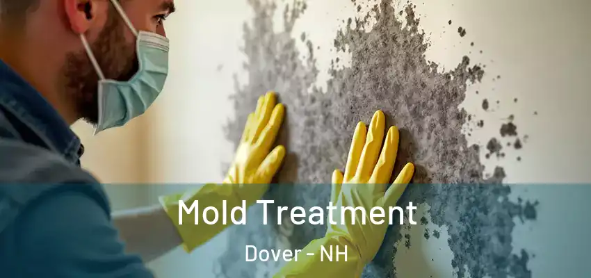  Mold Treatment Dover - NH