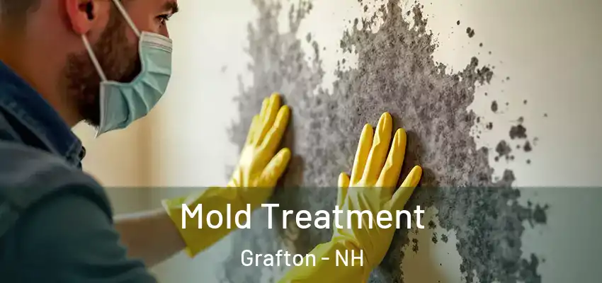  Mold Treatment Grafton - NH