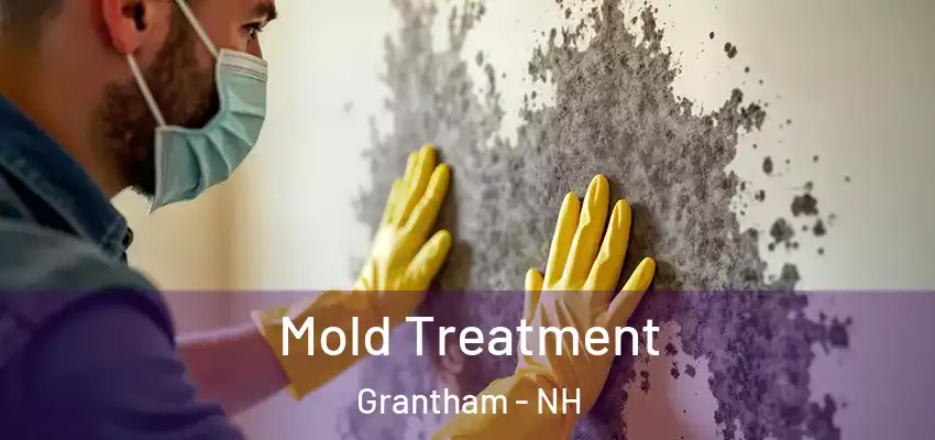  Mold Treatment Grantham - NH