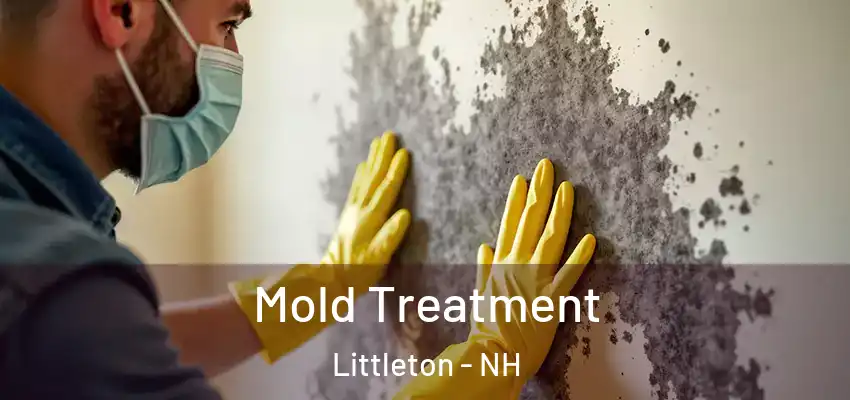  Mold Treatment Littleton - NH