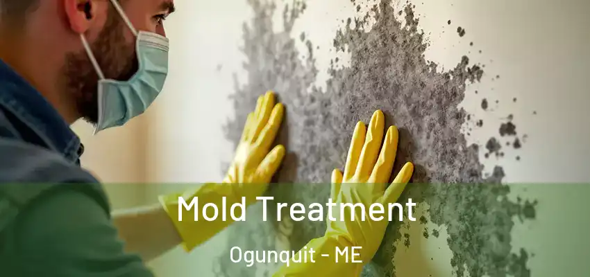 Mold Treatment Ogunquit - ME
