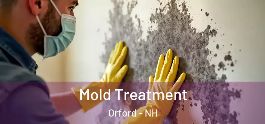  Mold Treatment Orford - NH