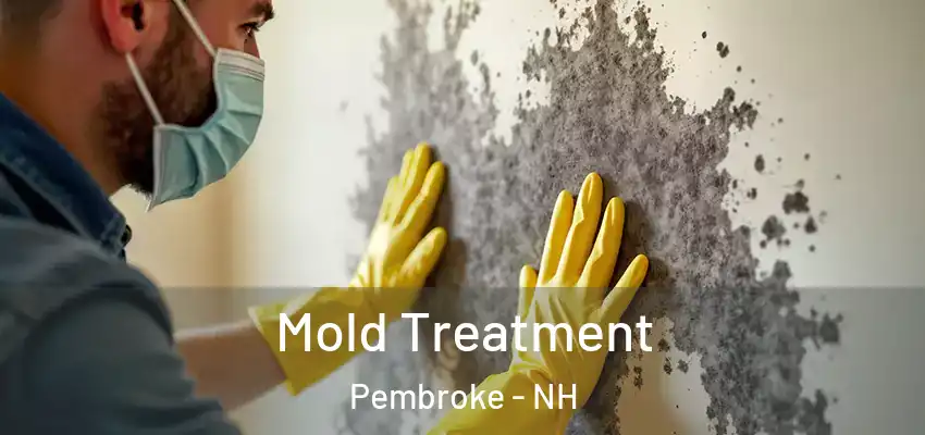  Mold Treatment Pembroke - NH