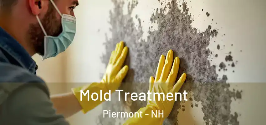  Mold Treatment Piermont - NH