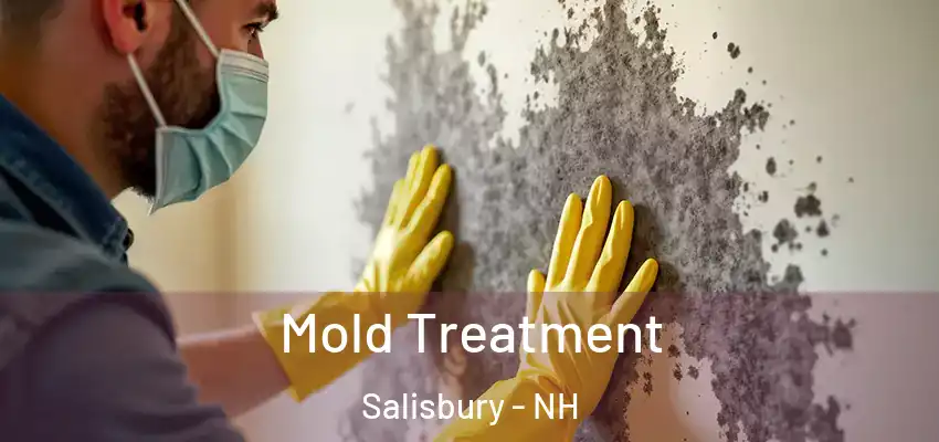  Mold Treatment Salisbury - NH