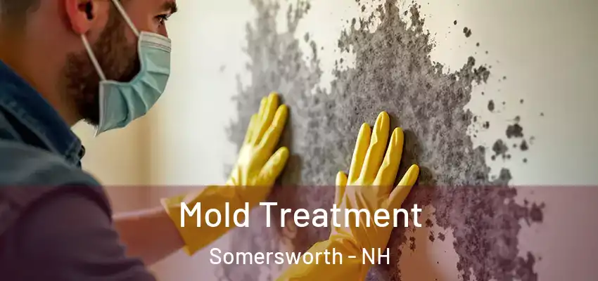  Mold Treatment Somersworth - NH