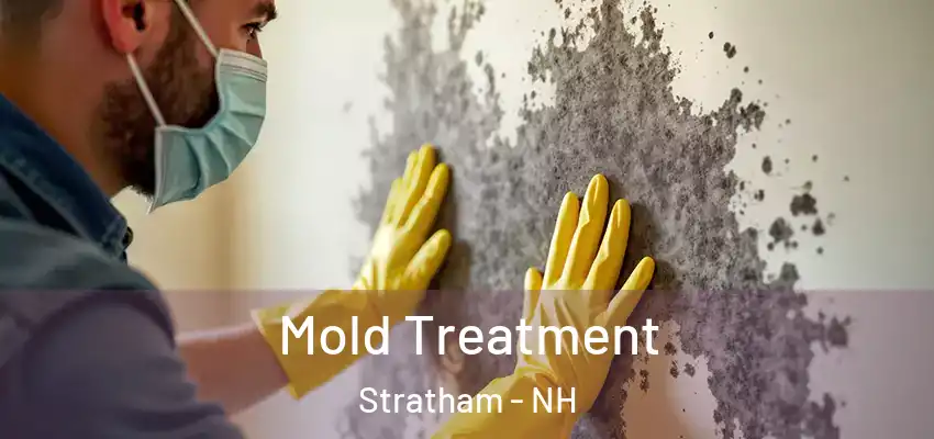  Mold Treatment Stratham - NH