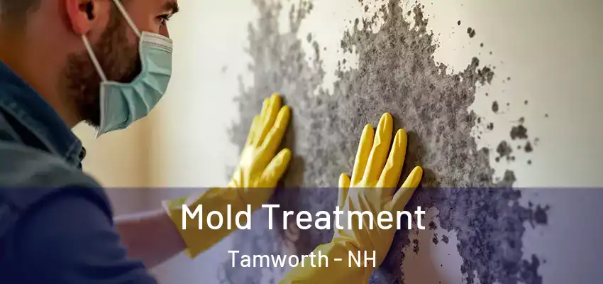  Mold Treatment Tamworth - NH