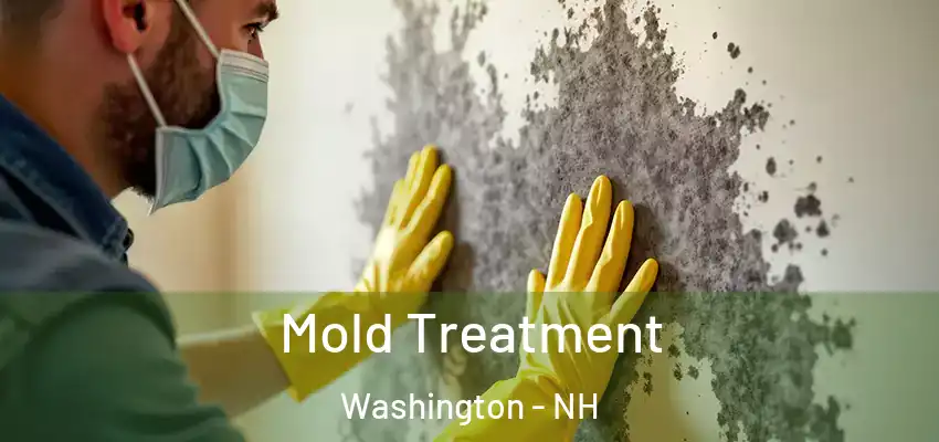 Mold Treatment Washington - NH