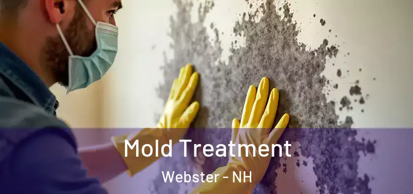  Mold Treatment Webster - NH