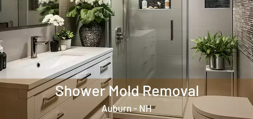  Shower Mold Removal Auburn - NH