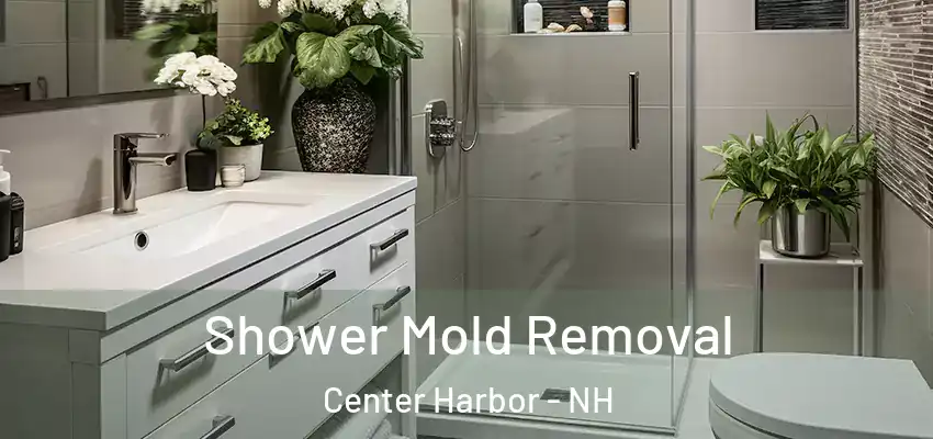  Shower Mold Removal Center Harbor - NH