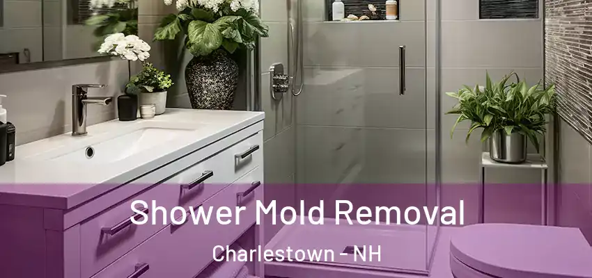  Shower Mold Removal Charlestown - NH