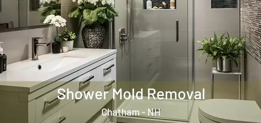 Shower Mold Removal Chatham - NH