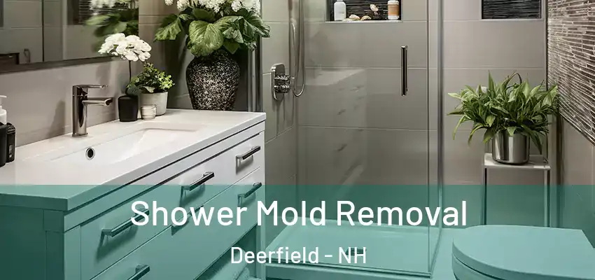  Shower Mold Removal Deerfield - NH