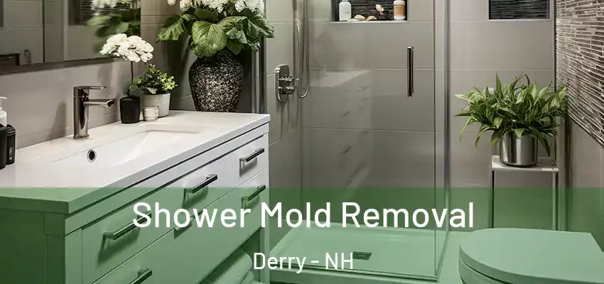  Shower Mold Removal Derry - NH