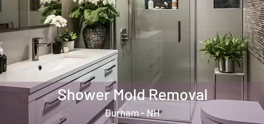  Shower Mold Removal Durham - NH