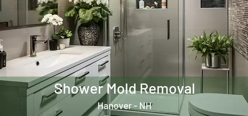  Shower Mold Removal Hanover - NH