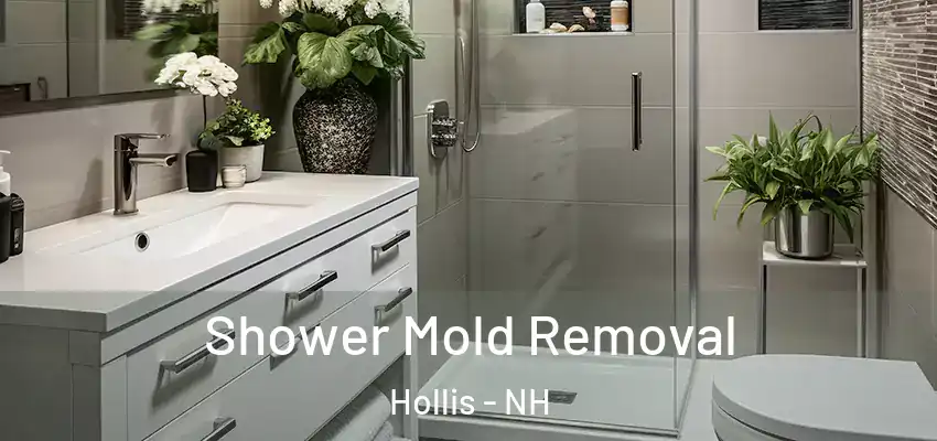  Shower Mold Removal Hollis - NH
