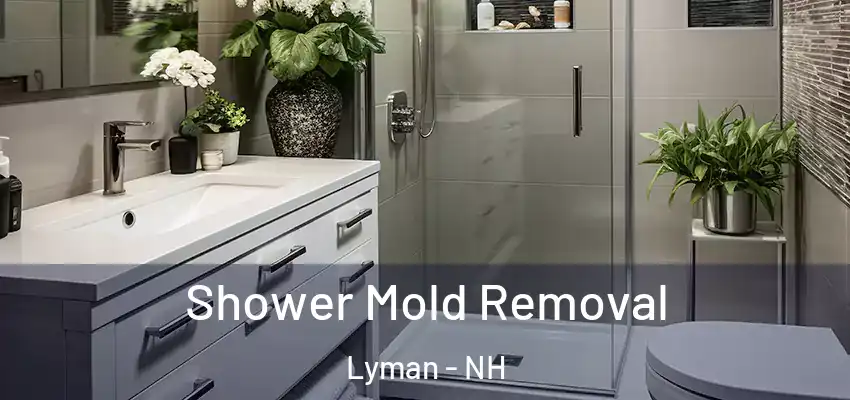  Shower Mold Removal Lyman - NH
