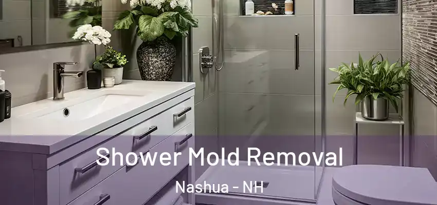  Shower Mold Removal Nashua - NH