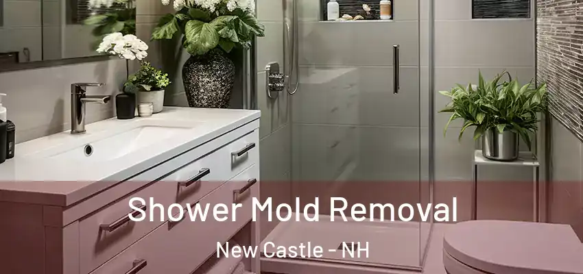  Shower Mold Removal New Castle - NH