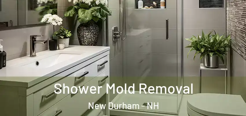 Shower Mold Removal New Durham - NH